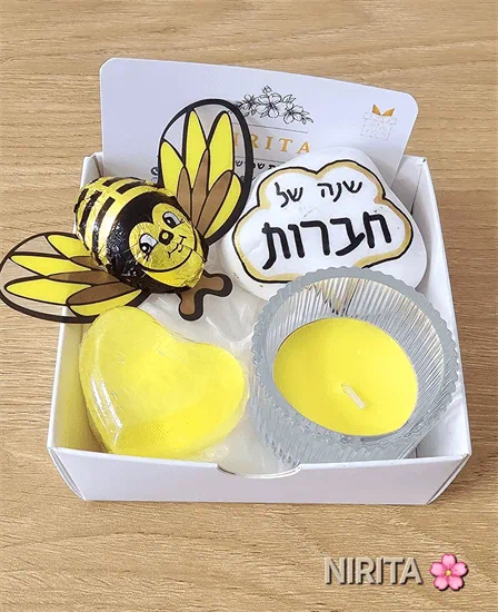 שנה של חברות